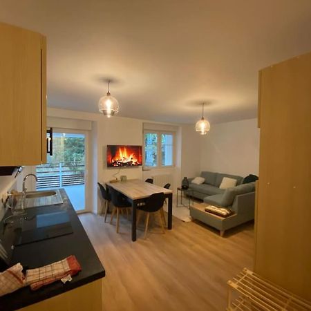 Appartement Chaleureux Au Pied Des Pistes Orbey Zewnętrze zdjęcie